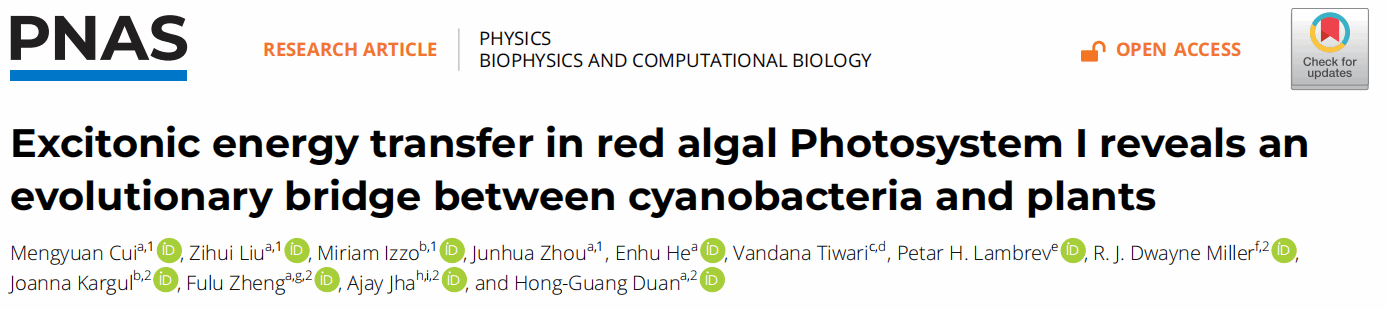 物理科学与技术学院段红光教授与郑福禄教授团队在光合作用能量传递动力学领域取得重要进展